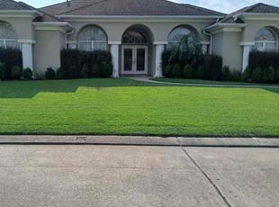 Marjorie S.'s grass maintenance service result
