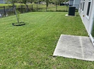 Luis F.'s lawn care service result