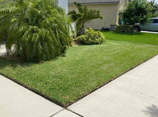 Emily A.'s landscaping service result