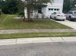 Brittany H.'s lawn care service result