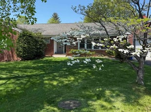 Dan C.'s turf care service result