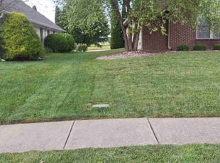 Dawn S.'s grass cutting service result