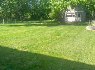 Wilson A.'s grass maintenance service result