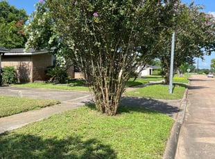 Mary S.'s Bush Trimming service result
