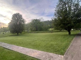 Grace S.'s grass maintenance service result