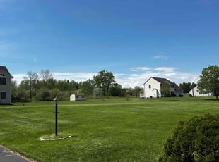 Brandon T.'s lawn care service result