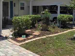 Dana W.'s lawn care service result