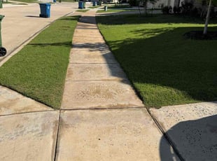Kevin S.'s turf care service result