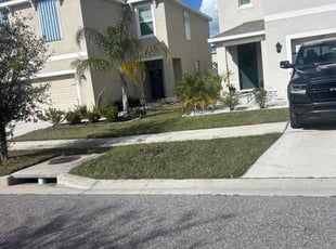 Rebecca P.'s turf maintenance service result
