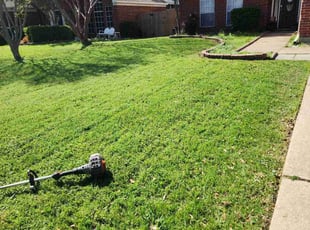 Caleb G.'s grass cutting service result