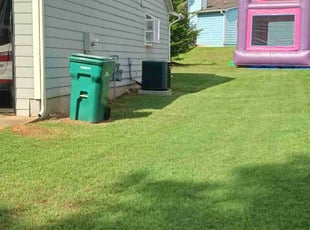 Tyree C.'s lawn care services service result