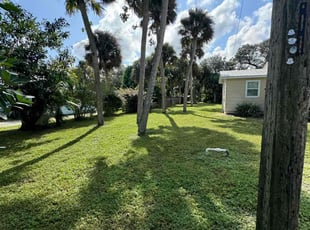 Quinne B.'s grass cutting service result