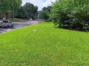 Andrew H.'s lawn maintenance service result
