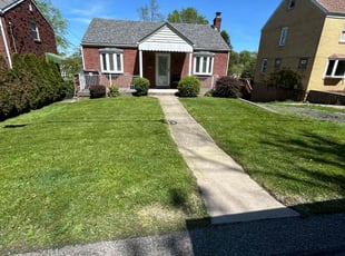 Rose T.'s grass maintenance service result