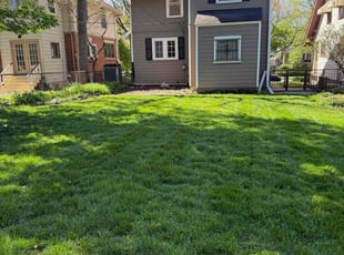 María C.'s lawn care service result