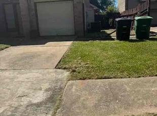 Tina L.'s lawn service service result