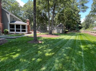 Sarah Q.'s grass cutting service result