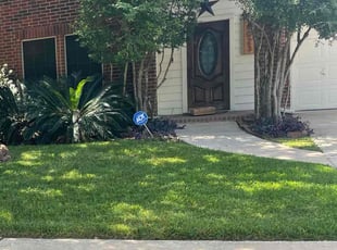 Pradeep R.'s grass maintenance service result