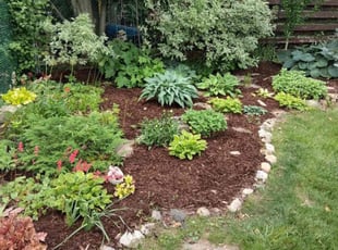 Deborah H.'s lawn care services service result