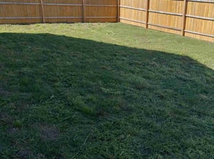 Mark S.'s lawn care service result