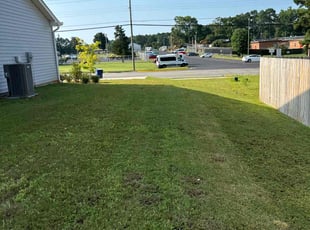 Rex C.'s grass maintenance service result