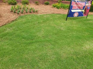 Ruth W.'s turf care service result