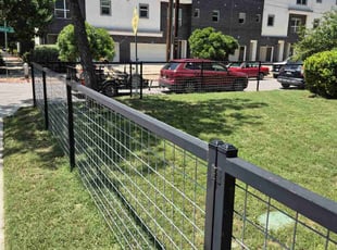 Penny S.'s lawn maintenance service result