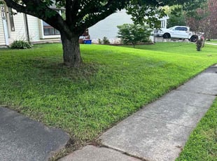 Judith C.'s lawn service service result