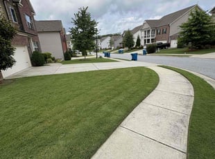 Patricia D.'s lawn service service result
