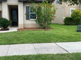 Paul P.'s turf maintenance service result