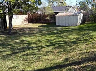 Myrna J.'s Bush Trimming service result