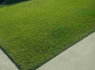 Jason O.'s grass cutting service result