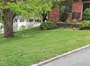 Sheila V.'s lawn care services service result