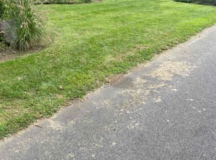 Michelle H.'s grass maintenance service result