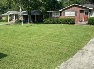 Clay H.'s turf care service result