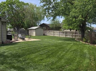 Jason K.'s lawn care service result