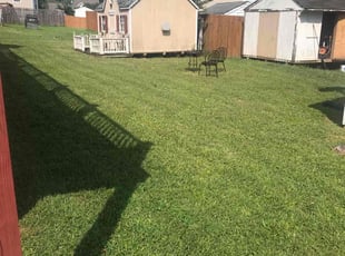 Christopher A.'s grass cutting service result