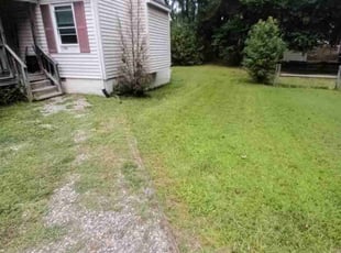 Nancy S.'s grass cutting service result