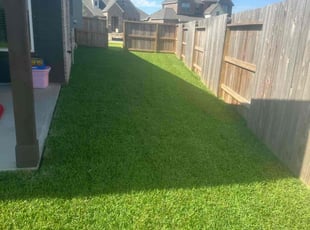 Jancarlo O.'s lawn care services service result