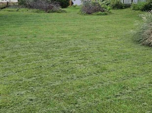 Arokiya A.'s turf maintenance service result