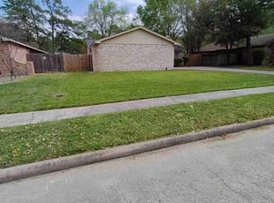 Raul S.'s lawn service service result