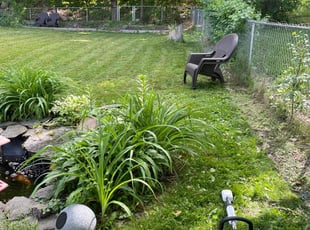 Steve W.'s grass cutting service result