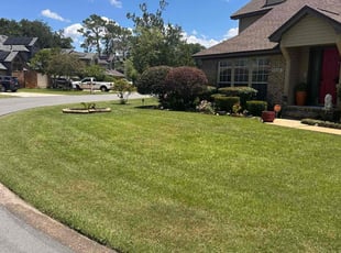 Chris O.'s lawn service service result