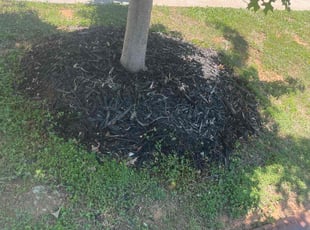 Erik B.'s Flower Bed Weeding service result