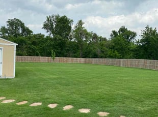 Jean H.'s grass cutting service result