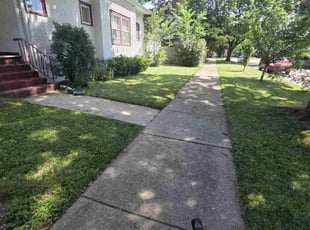 Elizabeth B.'s turf care service result