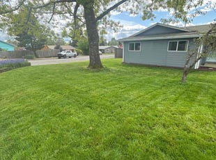 Raymond K.'s lawn care service result