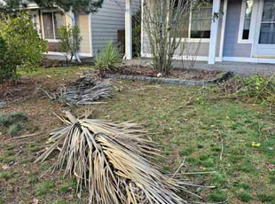 Anthony B.'s lawn care services service result