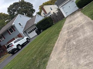 Leo P.'s Bush Trimming service result