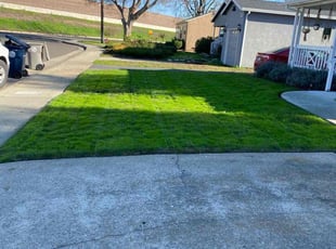 Elizabeth A.'s lawn care services service result